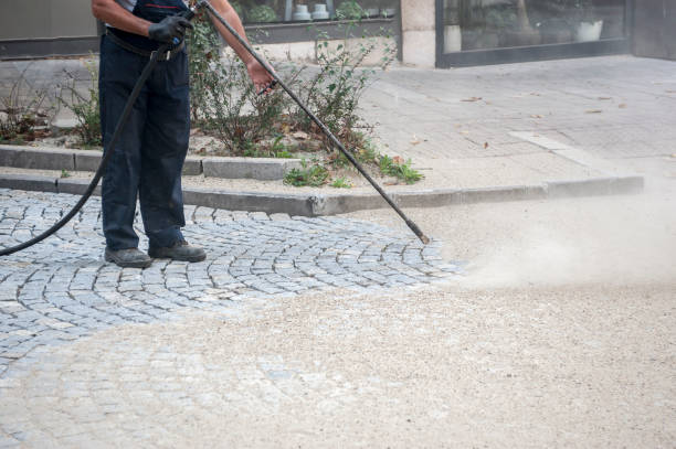 Best Sidewalk and Walkway Cleaning  in Clara City, MN