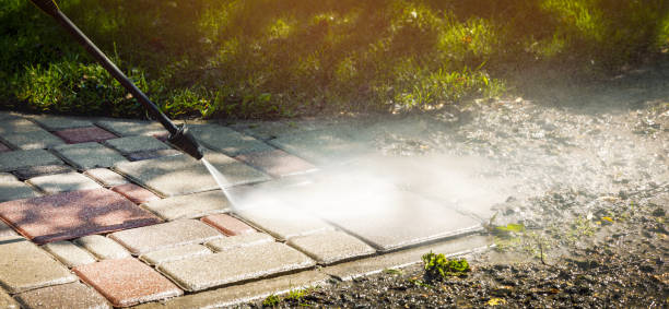 Best Solar Panel Cleaning  in Clara City, MN
